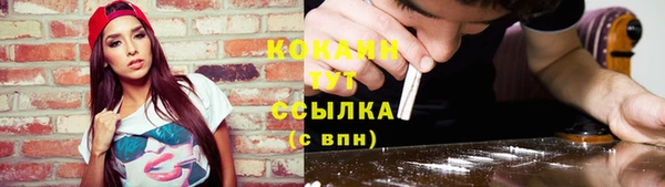 прущие крисы Горняк