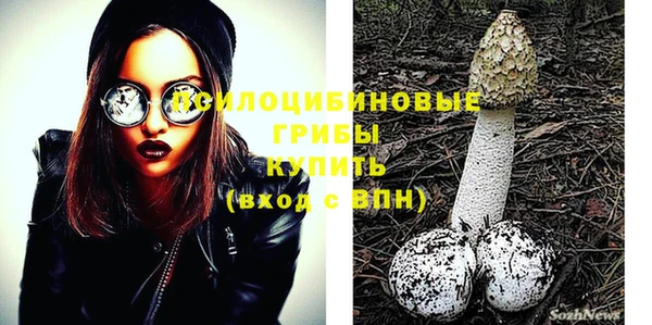прущие крисы Горняк
