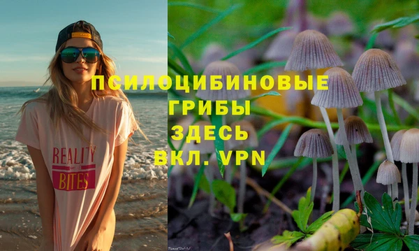 прущие крисы Горняк