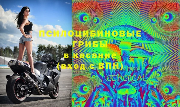 прущие крисы Горняк