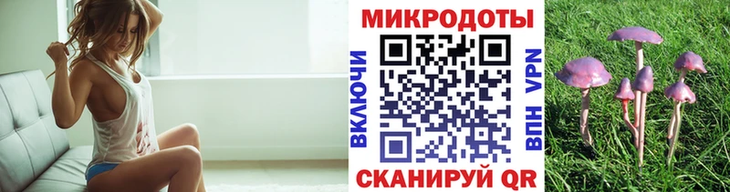 Псилоцибиновые грибы прущие грибы  Волгодонск 